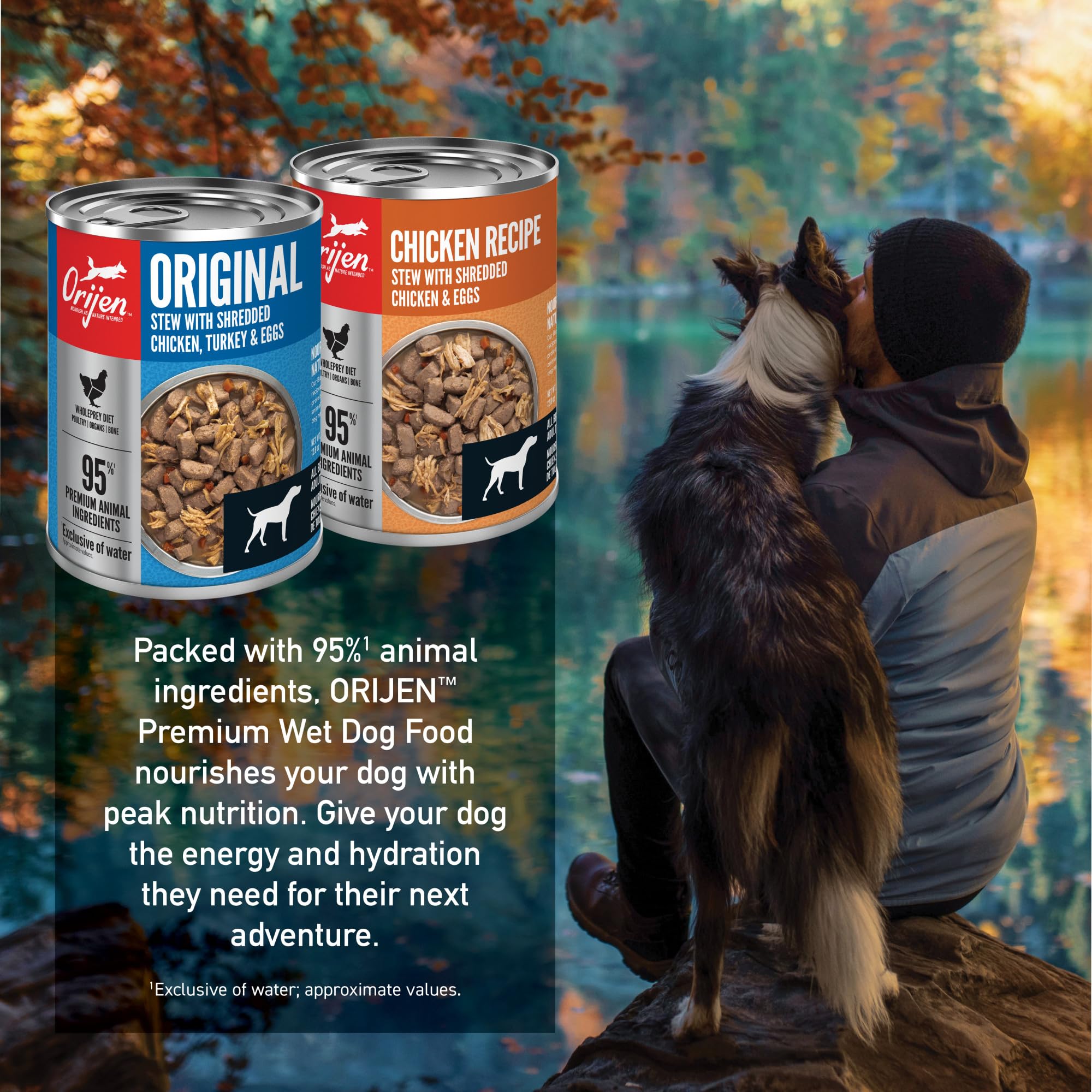 ORIJEN Premium Wet Dog Food Variety Pack: Original + Chicken